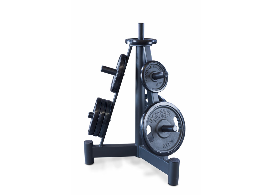 carga-de-discos-gym