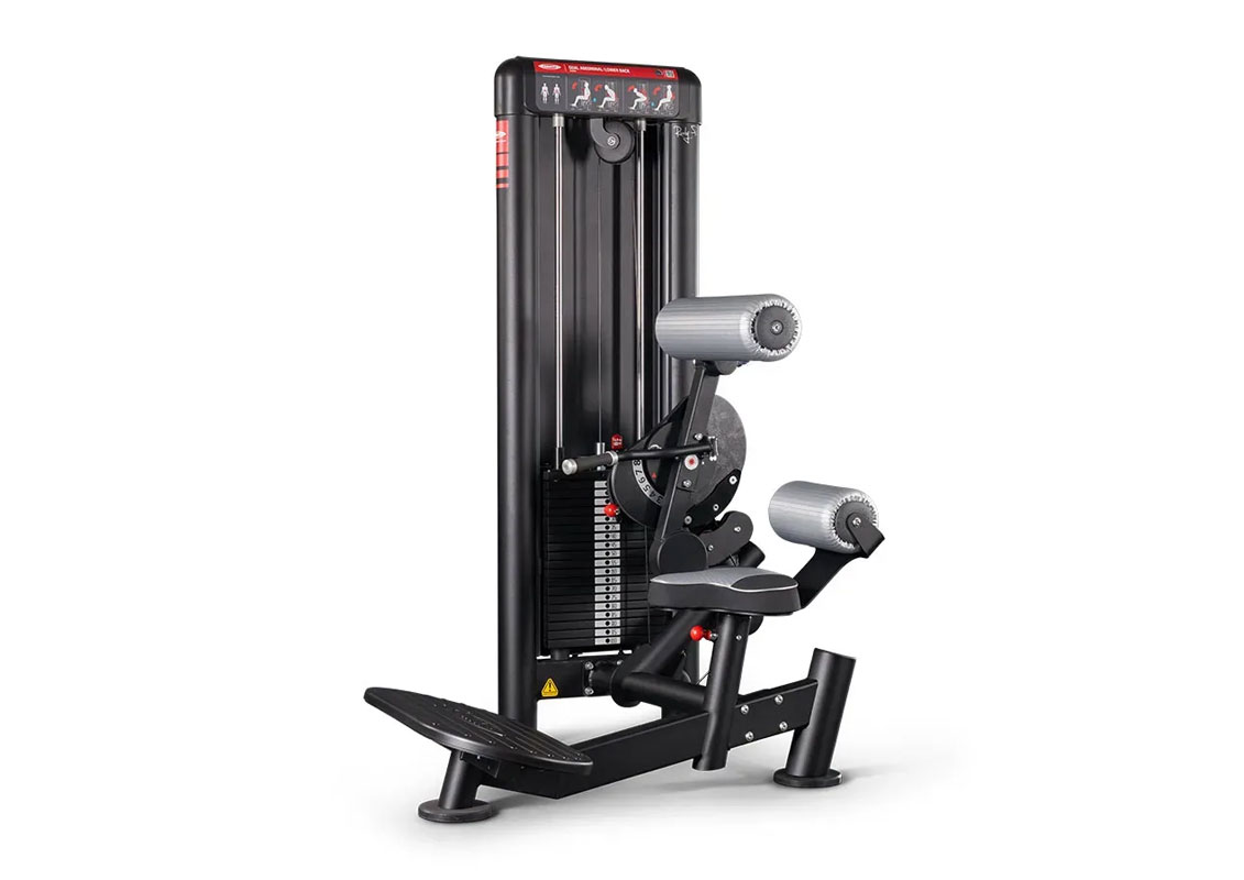 dual-machines-gym